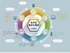 品牌策劃公司與商務信息咨詢的業(yè)務范圍